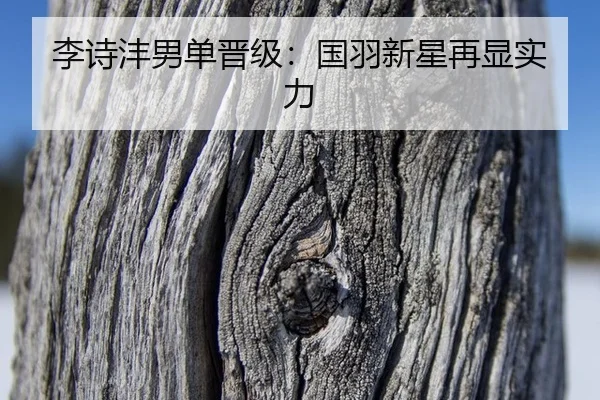 李诗沣男单晋级：国羽新星再显实力